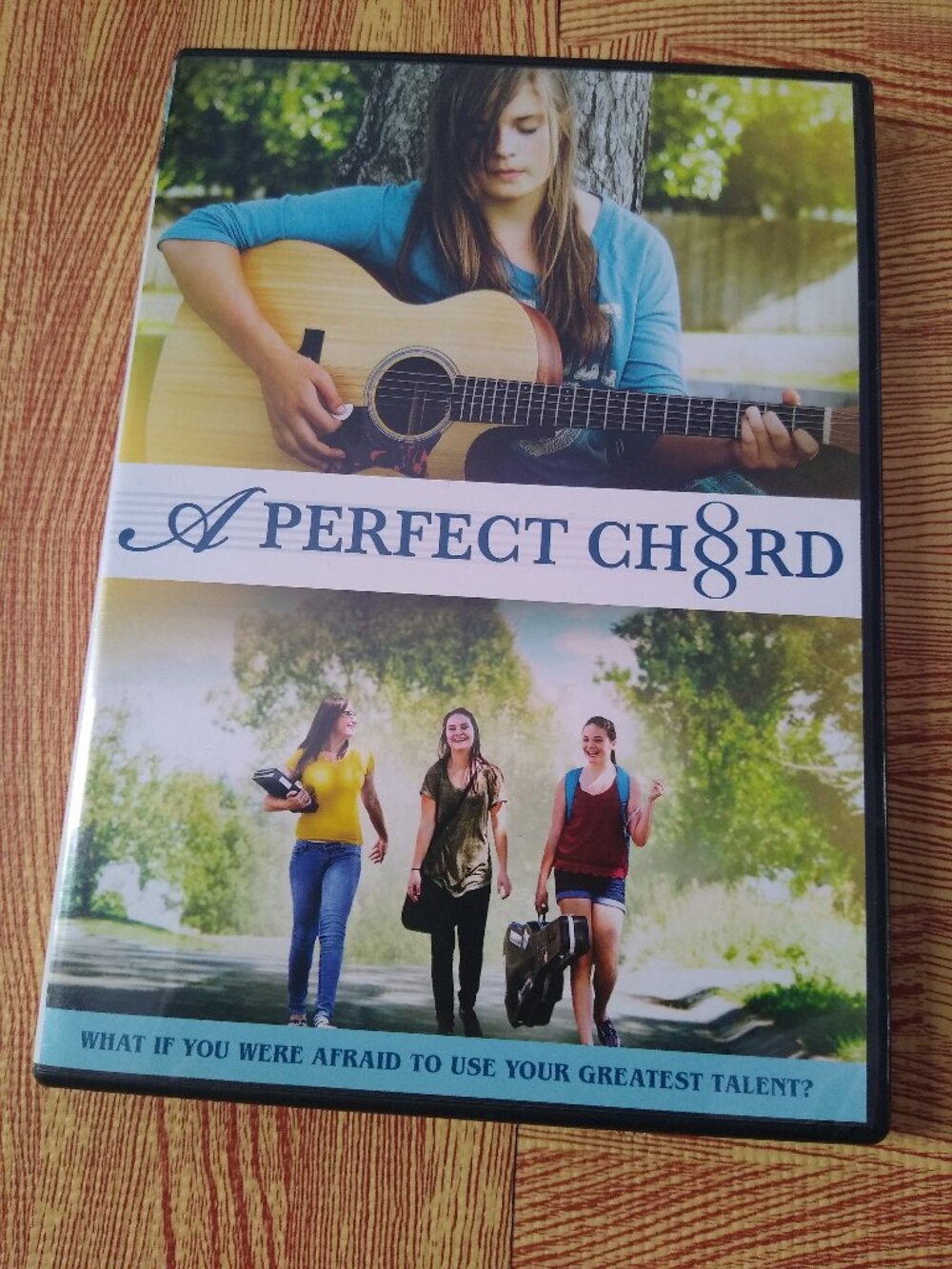 "A Perfect Chord" DVD; both DVD and case in excellent condition